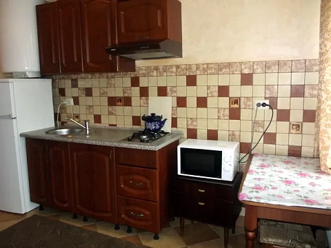 house h daily Truskavets, Pomiretskaya St., 45