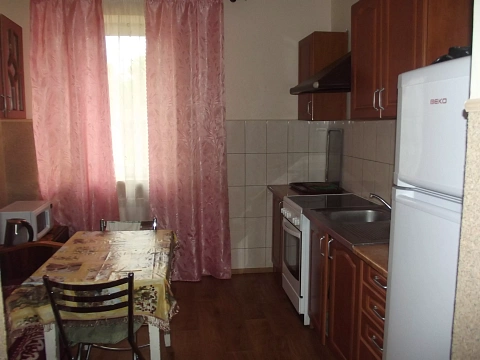 house h daily Truskavets, Pomiretskaya St., 45