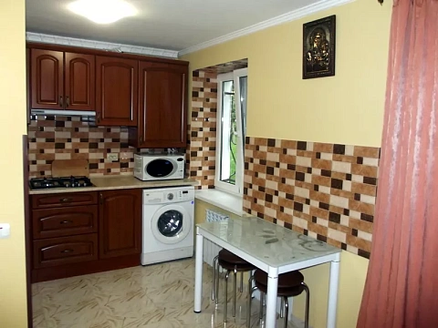 1 room apartments daily Truskavets, Ivasyuka St., 1