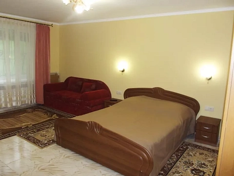 1 room apartments daily Truskavets, Ivasyuka St., 1