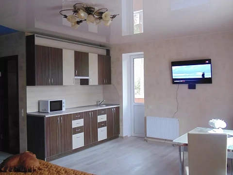 1 room apartments daily Nizhin, per. Institutskiy, 8