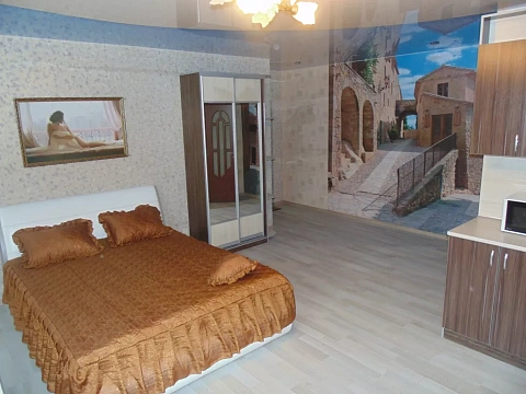 1 room apartments daily Nizhin, per. Institutskiy, 8