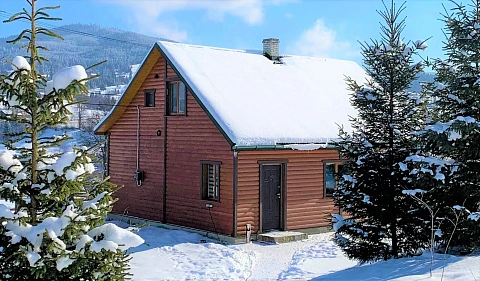 house h daily Lazeshchyna, ur. Smola, 685