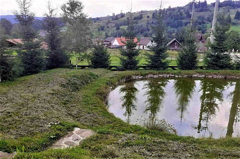 house h daily Lazeshchyna, ur. Smola, 685