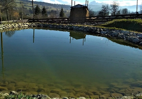 house h daily Lazeshchyna, ur. Smola, 685