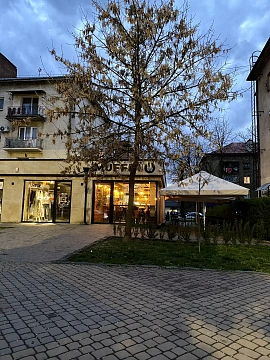 1 room apartments daily Uzhhorod, Svobody Ave., 38
