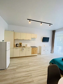 1 room apartments daily Uzhhorod, Tikhogo St., 13д
