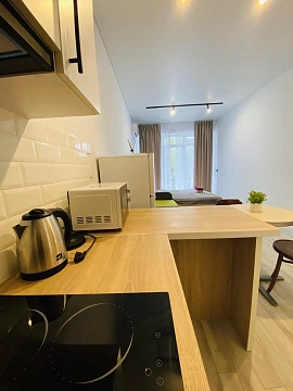 1 room apartments daily Uzhhorod, Tikhogo St., 13д