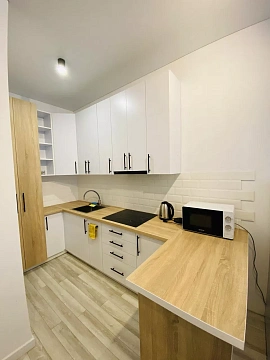 1 room apartments daily Uzhhorod, Tikhogo St., 13д