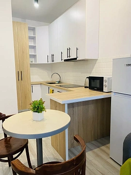 1 room apartments daily Uzhhorod, Tikhogo St., 13д