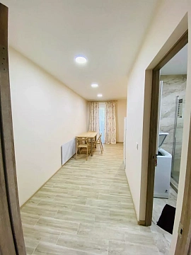 1 room apartments daily Uzhhorod, Frantisheka Tikhogo St., 11