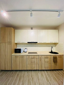 1 room apartments daily Uzhhorod, Frantisheka Tikhogo St., 11