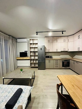 2 rooms apartments daily Uzhhorod, Frantisheka Tikhogo St., 13д