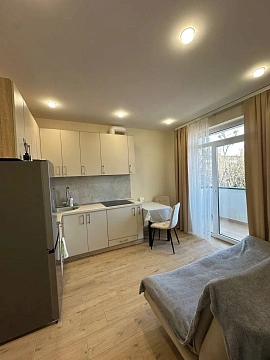 1 room apartments daily Uzhhorod, Frederika SHopena St., 10