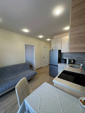 1 room apartments daily Uzhhorod, Frederika SHopena St., 10