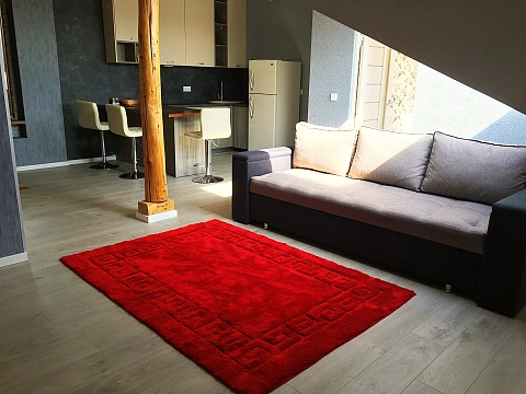 1 room apartments daily Uzhhorod, Kapitulnaya St., 28