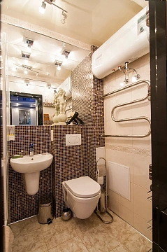 2 rooms apartments daily Kyiv, Desnyanskiy district, Kashtanovaya St., 11
