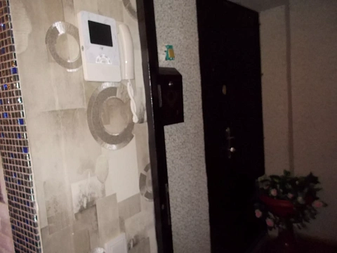 2 rooms apartments daily Kyiv, Desnyanskiy district, Kashtanovaya St., 11