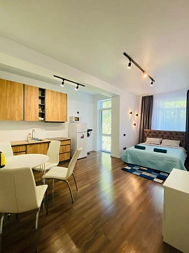 1 room apartments daily Uzhhorod, Tikhogo St., 13д