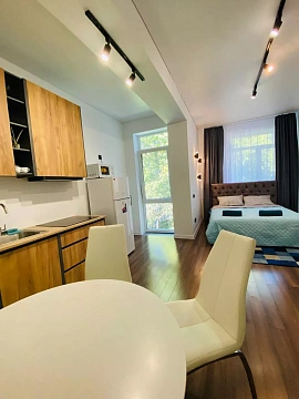 1 room apartments daily Uzhhorod, Tikhogo St., 13д