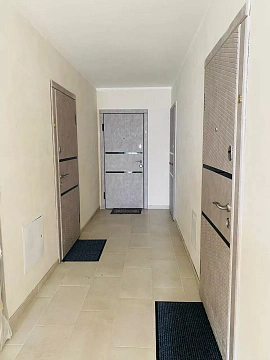 1 room apartments daily Uzhhorod, Tikhogo St., 13д