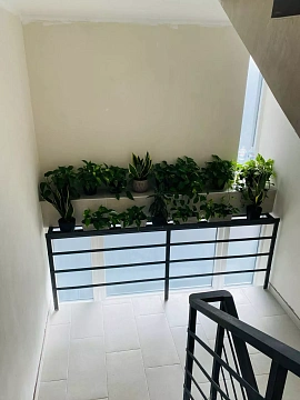 1 room apartments daily Uzhhorod, Tikhogo St., 13д