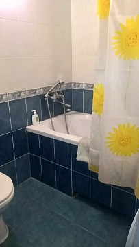 1 room apartments daily Kyiv, Shevchenkovskiy district, Poltavskaya St., 5