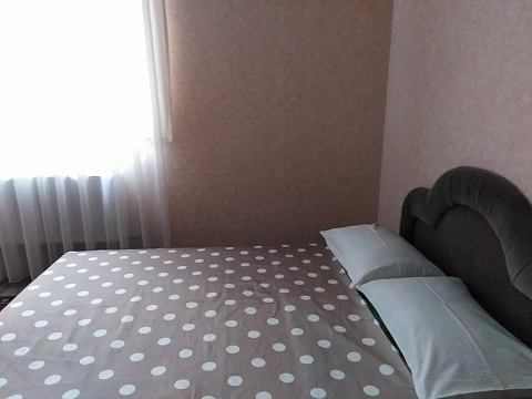 1 room apartments daily Kropyvnytskyi (Kirovohrad), Krepostnoj district, Guzara St., 31