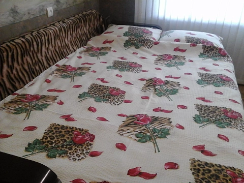 1 room apartments daily Kremenchuk, Pobedy St., 13