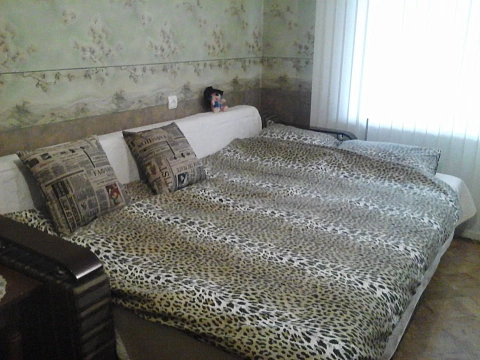 1 room apartments daily Kremenchuk, Pobedy St., 13
