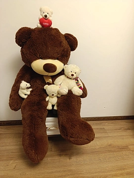 1 room apartments daily Khmilnik, Monastyrskaya St., 1