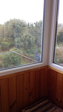 1 room apartments daily Khmilnik, Monastyrskaya St., 1