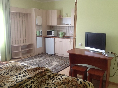 1 room apartments daily Khmilnik, Polina St., 17