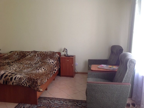 1 room apartments daily Khmilnik, Polina St., 17