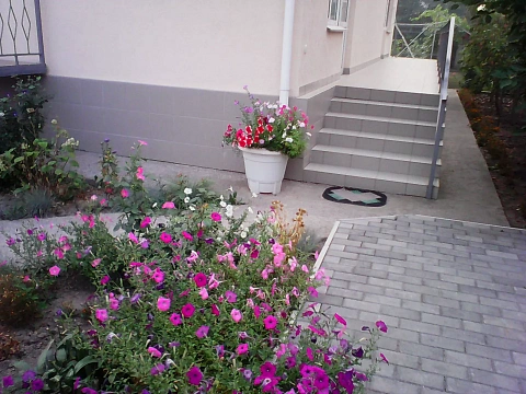 1 room apartments daily Khmilnik, Polina St., 17