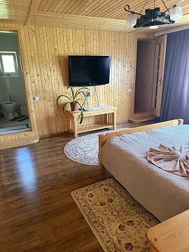 room daily Yaremche, SHevchenko St., 25