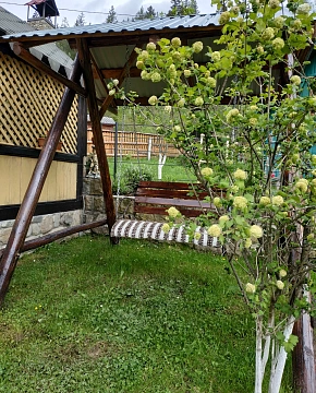 house h daily Yaremche, I. Franko St., 76