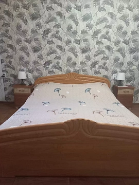 1 room apartments daily Ishmael, SHevchenko St., 1