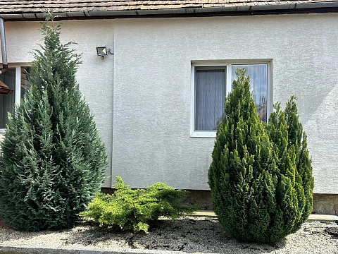 Дом посуточно в Берегово, ул. Легоцкого, 71