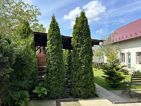5 rooms apartments appartments daily Berehovo, Legotskogo St., 51
