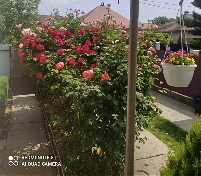5 rooms apartments appartments daily Berehovo, Legotskogo St., 51
