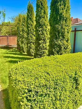 5 rooms apartments appartments daily Berehovo, Legotskogo St., 51