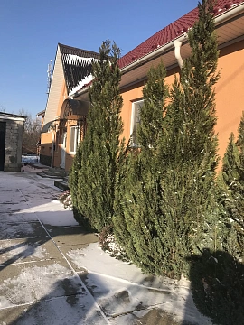 house h daily Berehovo, Gunyadi St., 9