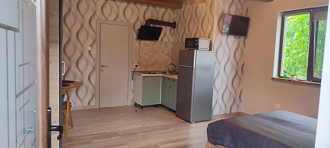 1 room apartments daily Berehovo, Gunyadi St., 18
