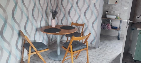 1 room apartments daily Berehovo, Gunyadi St., 18