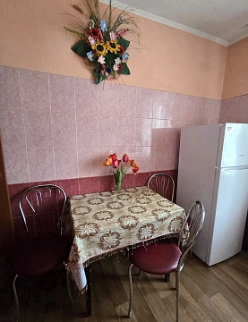 1 room apartments daily Pavlograd, SHevchenko St., 134