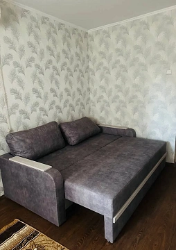 2 rooms apartments daily Pavlograd, TSentralnaya St., 36