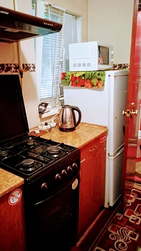 1 room apartments daily Mykolayiv, TSentralnyy district, Pavla Skoropadskogo St., 39