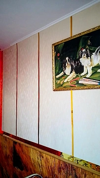 1 room apartments daily Mykolayiv, TSentralnyy district, 3-ya Slobodskaya St., 54 а
