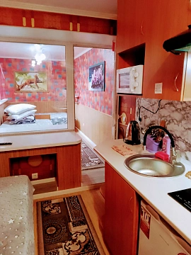 2 rooms apartments daily Mykolayiv, TSentralnyy district, TSentralnyy Ave., 140